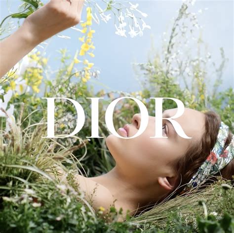 christian dior board of directors 2017 annual report|christian dior sustainability report.